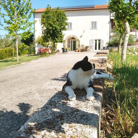 Le Piracante Caiazzo Buitenkant foto