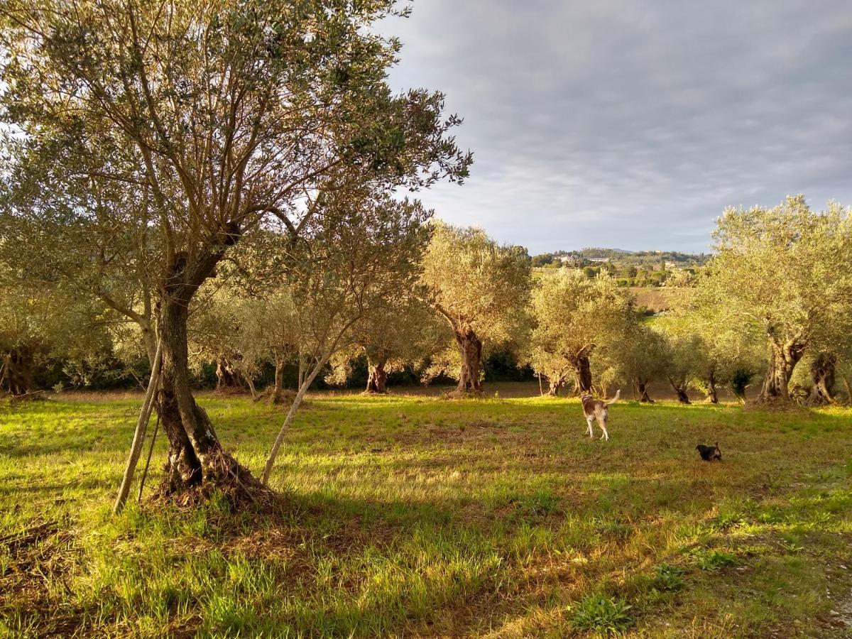 Le Piracante Caiazzo Buitenkant foto