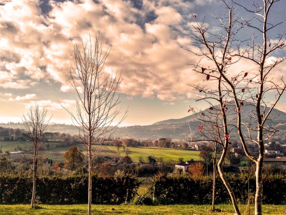 Le Piracante Caiazzo Buitenkant foto