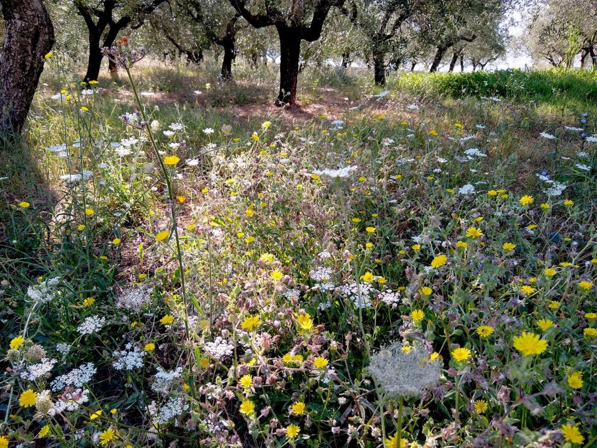 Le Piracante Caiazzo Buitenkant foto