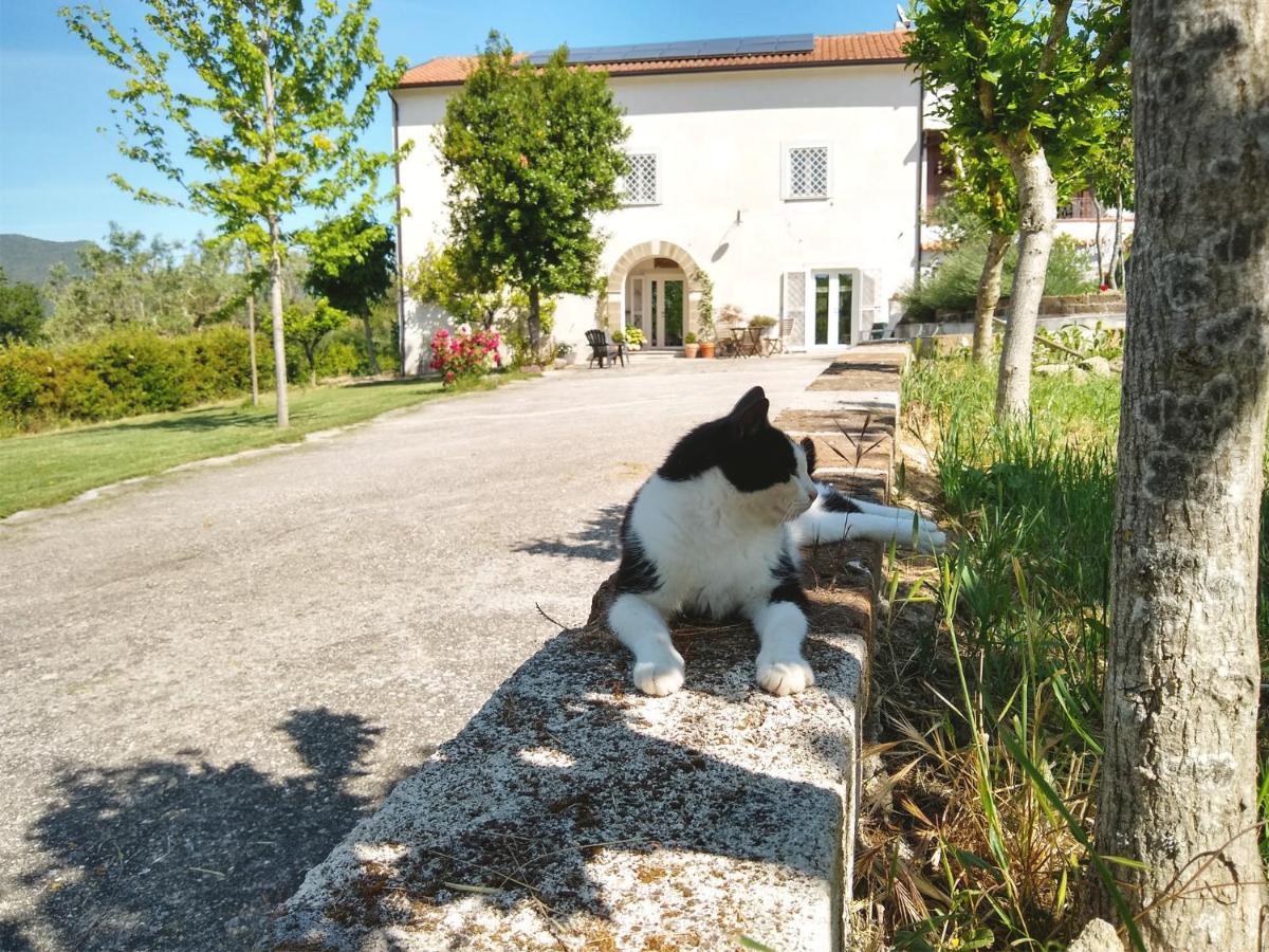Le Piracante Caiazzo Buitenkant foto