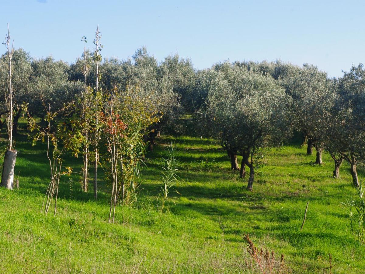 Le Piracante Caiazzo Buitenkant foto