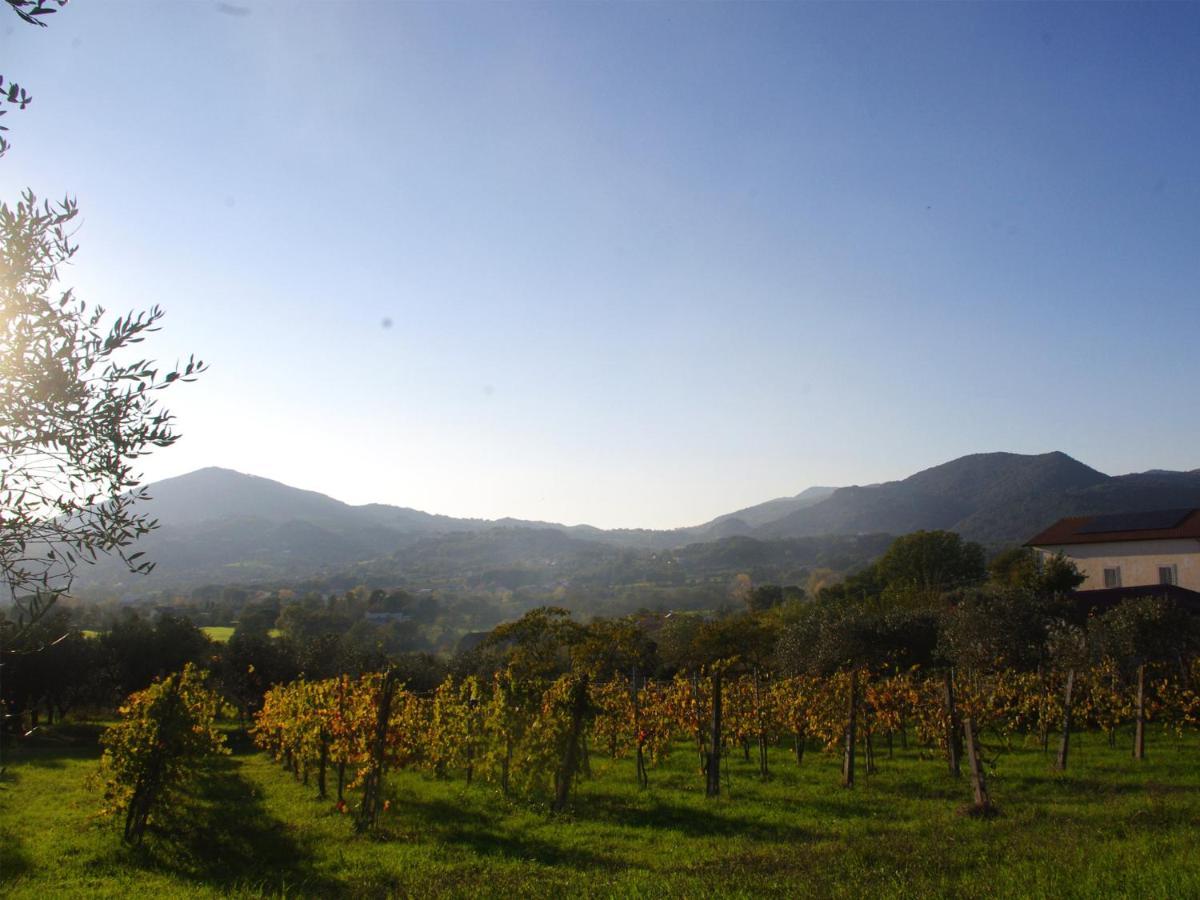 Le Piracante Caiazzo Buitenkant foto