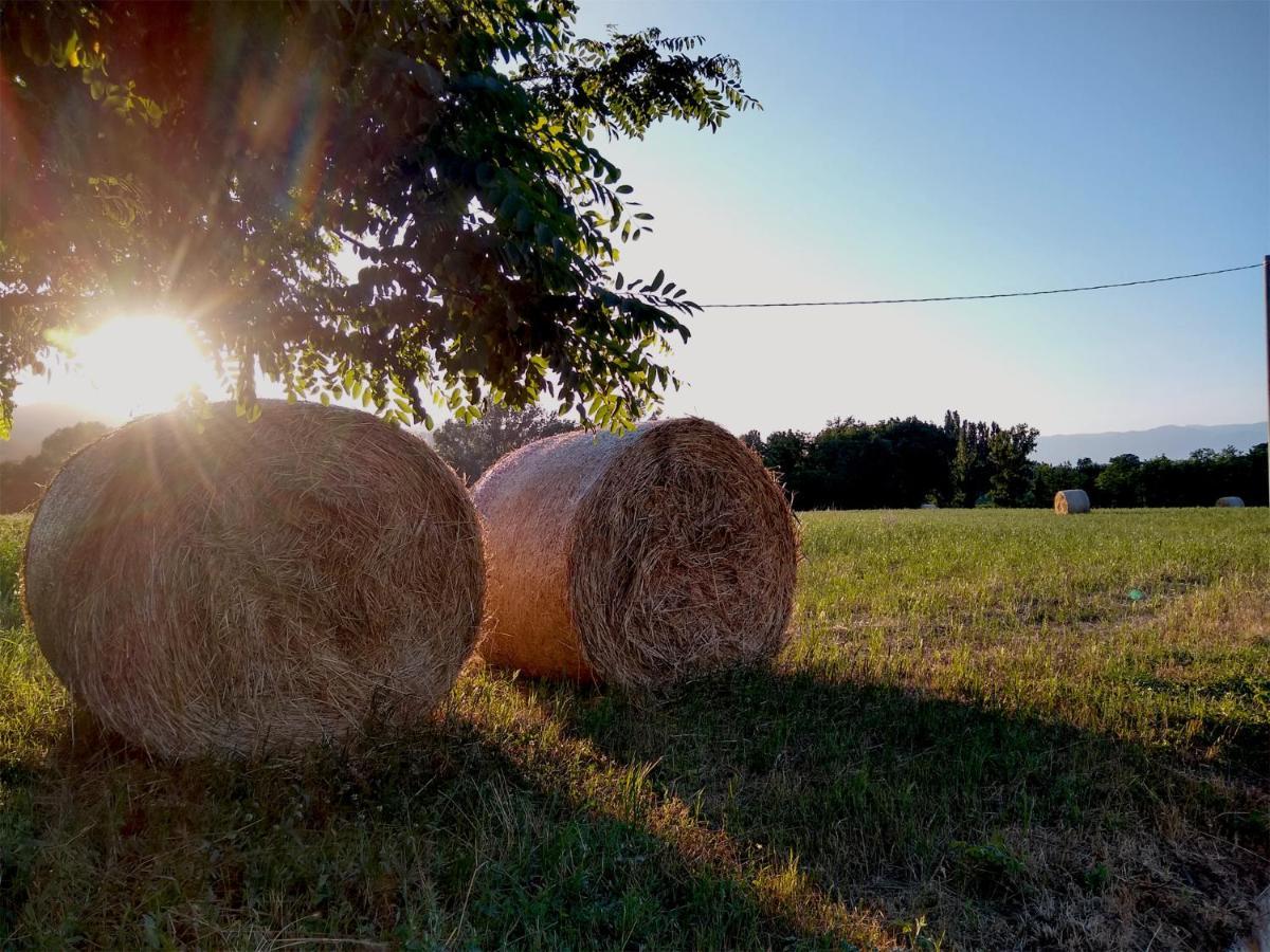 Le Piracante Caiazzo Buitenkant foto