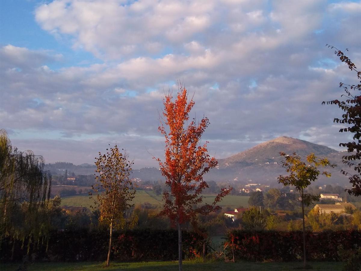 Le Piracante Caiazzo Buitenkant foto